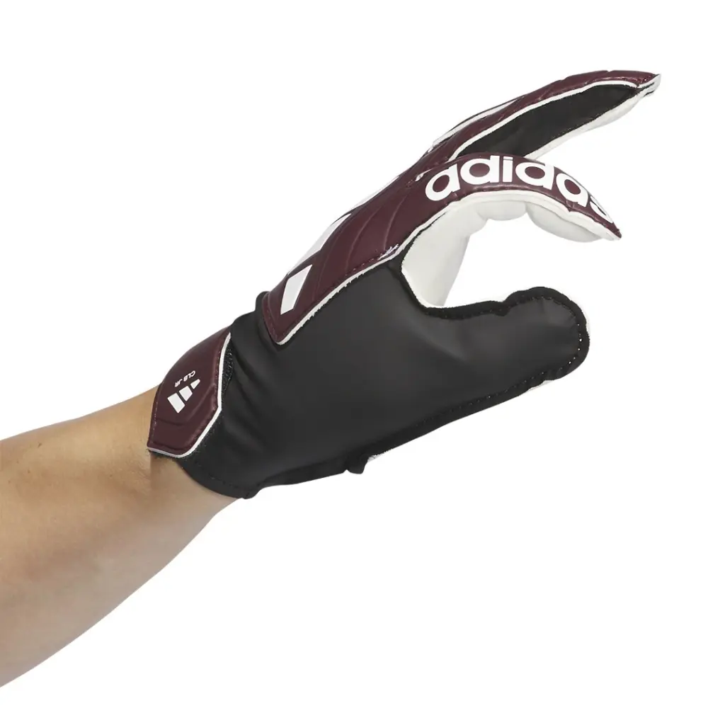 WhatsApp Image 2025-08-25 at 5.34.29 PM (8).webp