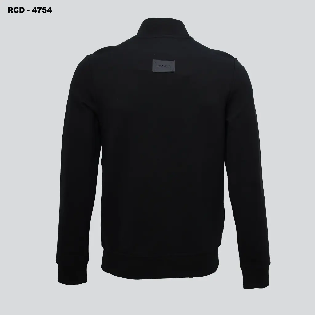 45.webp