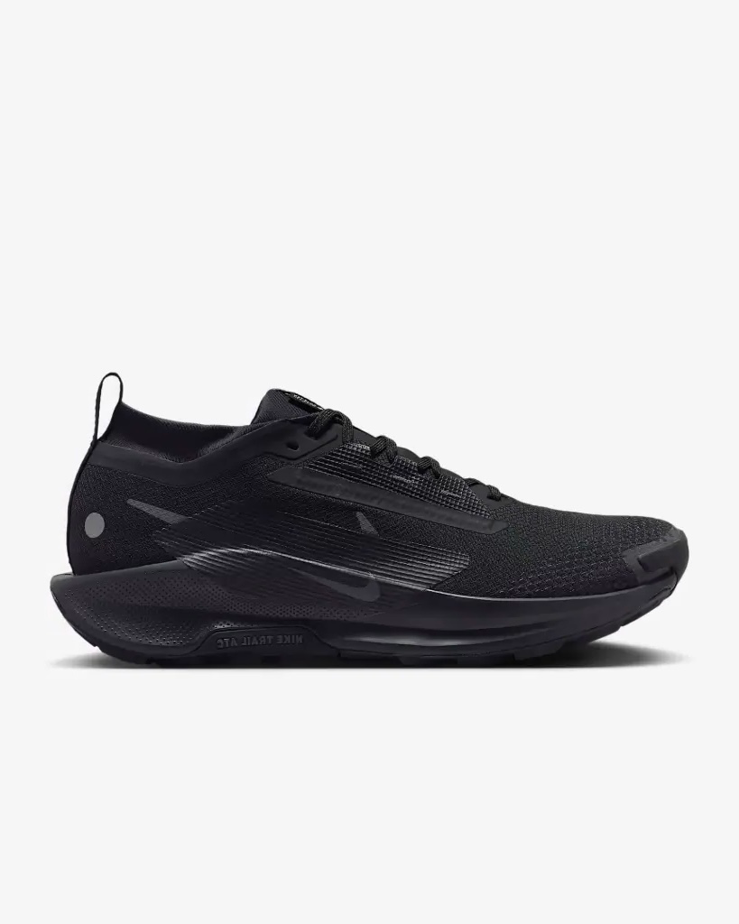 NIKE PEGASUS TRAIL 5 FQ0909-002