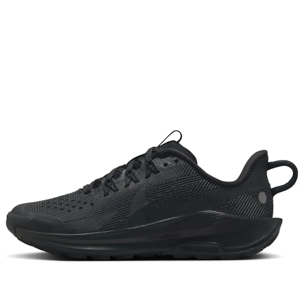 NIKE PEGASUS TRAIL 5 FV5638-001