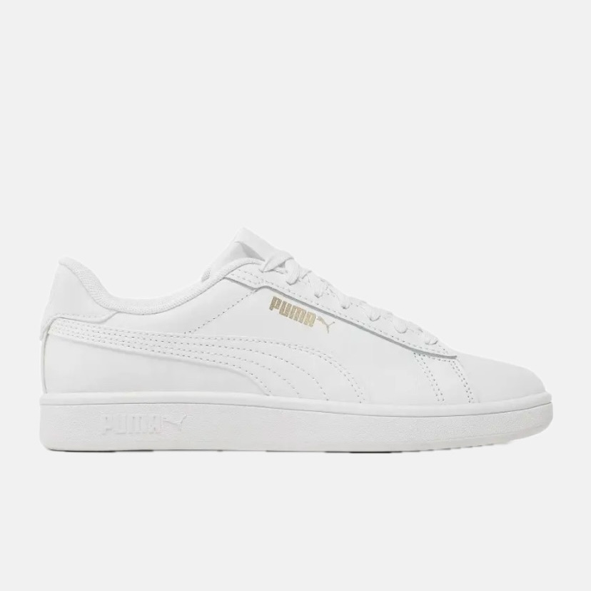 PUMA SHOSE 390987-01