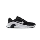 NIKE FLEX TRAIN HV9972-003